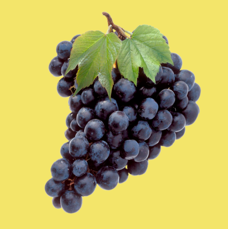 Prodotti Tipici Calabresi CASTROFRUTTA sas