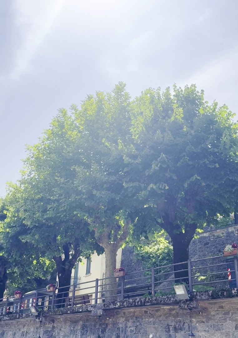 Proloco Molino del Pallone