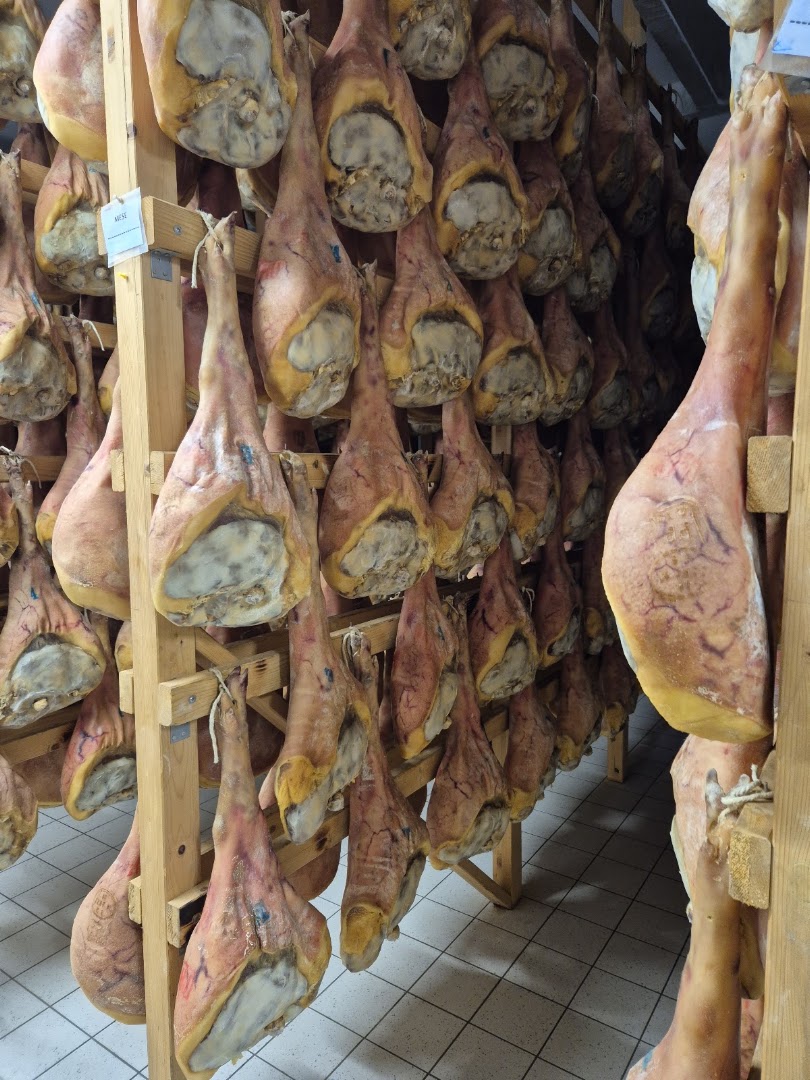 Prolongo IL PROSCIUTTO srl