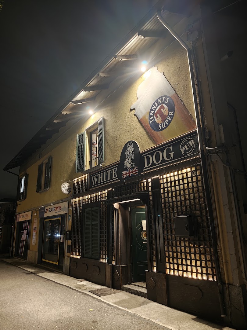 Pub White Dog