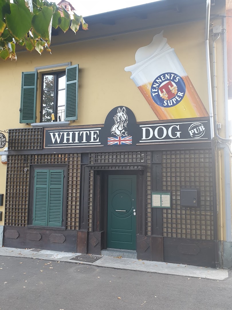 Pub White Dog