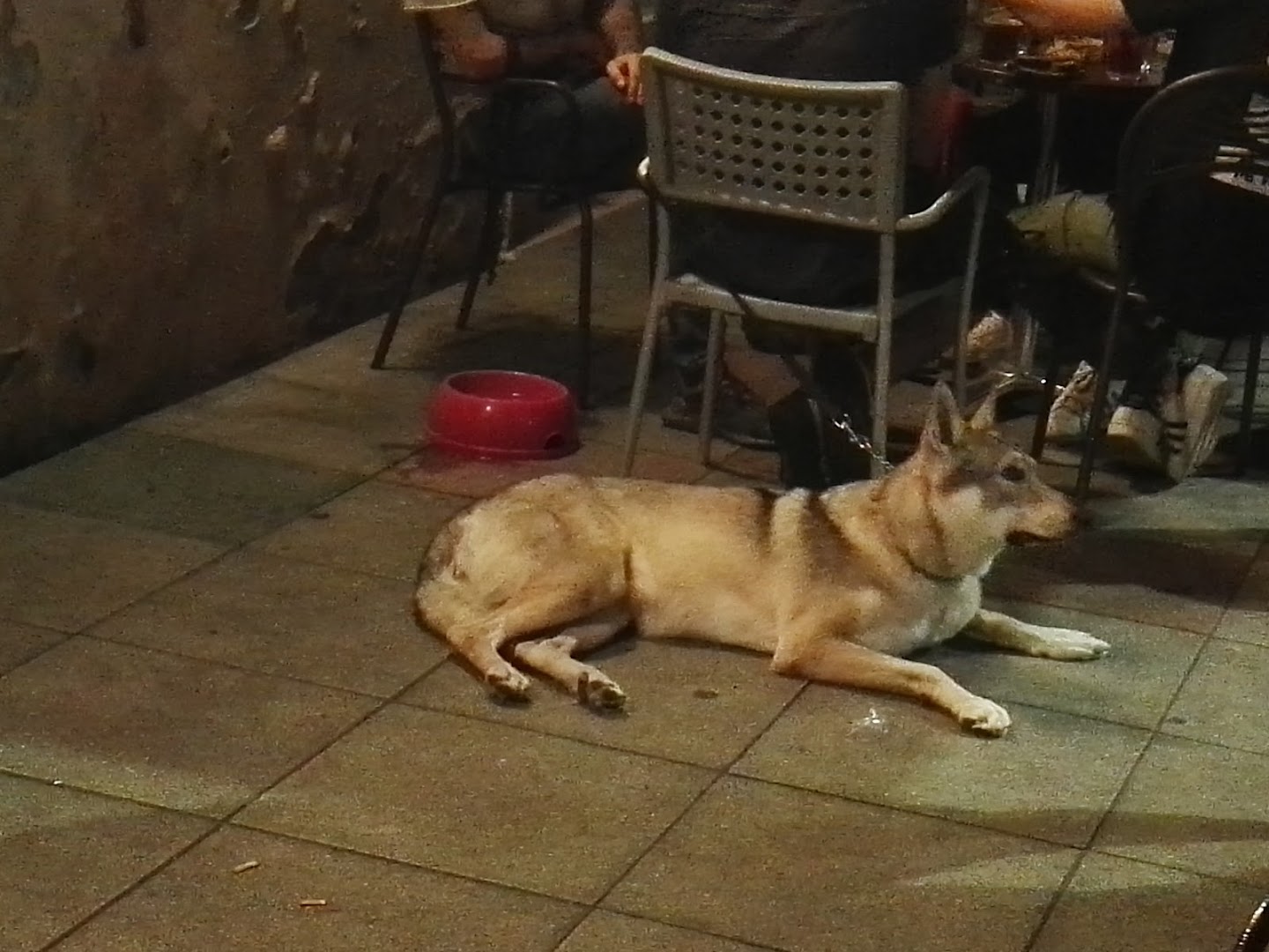 Pubbino - Abbey Road Pub