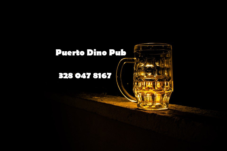 Puerto Dino