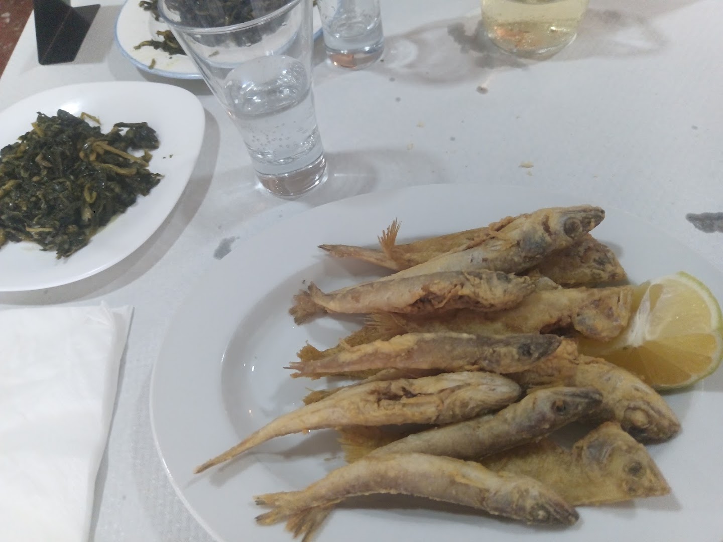 Pulcinella ristorante pizzeria terracina