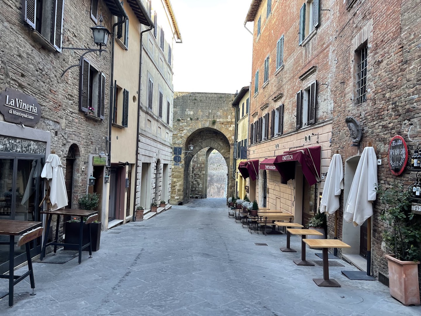 Pulcino Di Matassini Ercolani Gabriella Fattoria