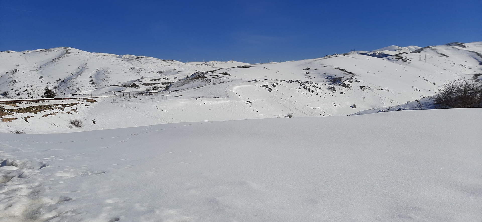 Punto Panoramico Olmo di Bobbi
