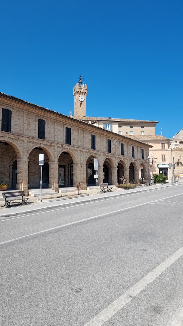 Punto Pizza Loreto Di Loci Indrit