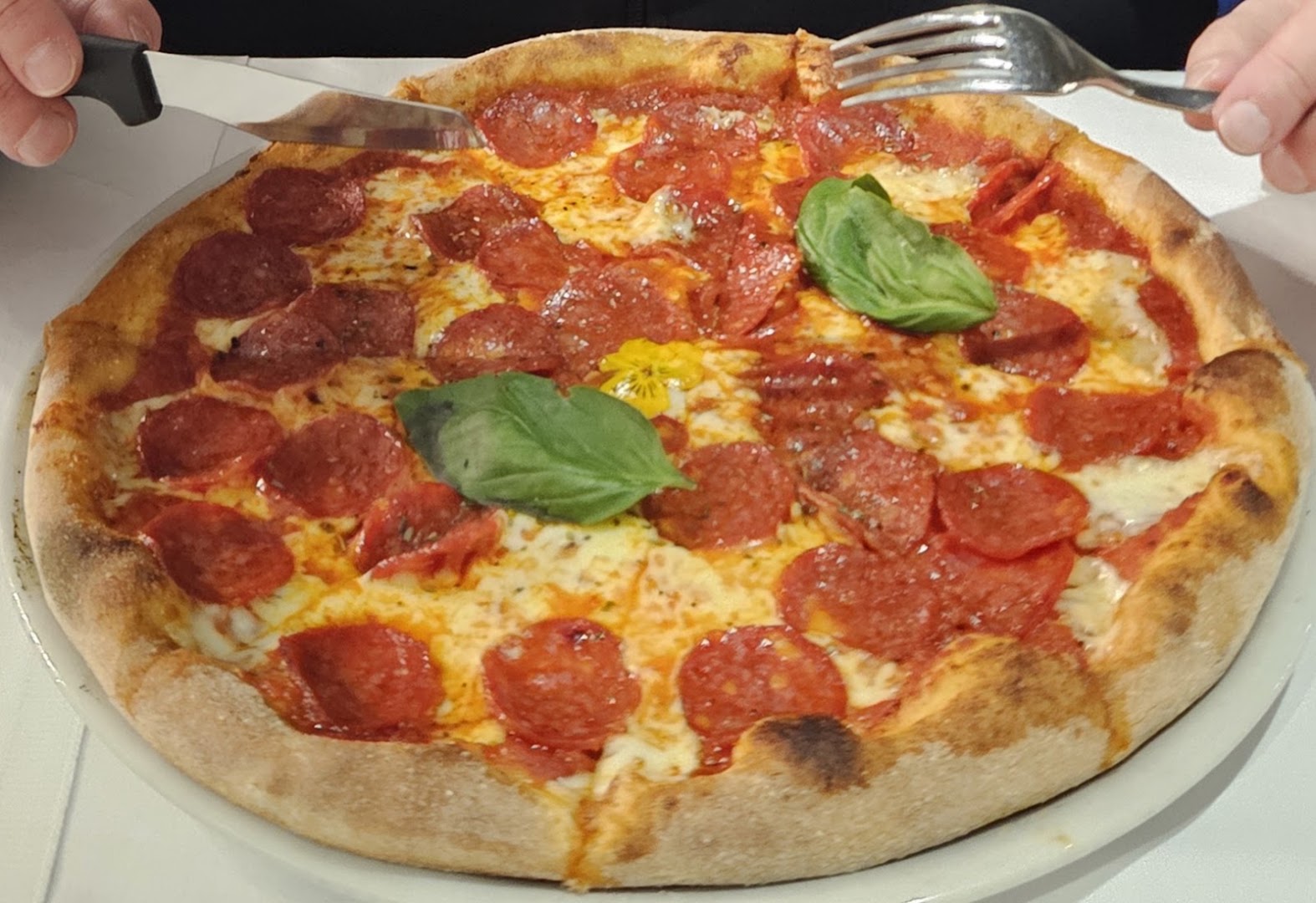 PUROS Sicilian Restaurant & Pizzeria