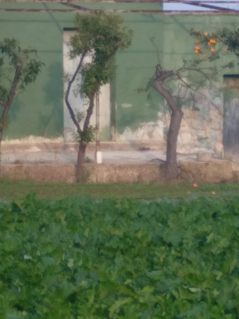 Racanati Multitrader S.R.L. Di Racanati Vincenzo & C., Bisceglie