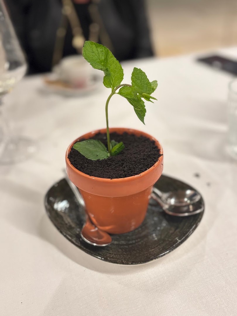Raffilù - Grandi Pesci ed Altro