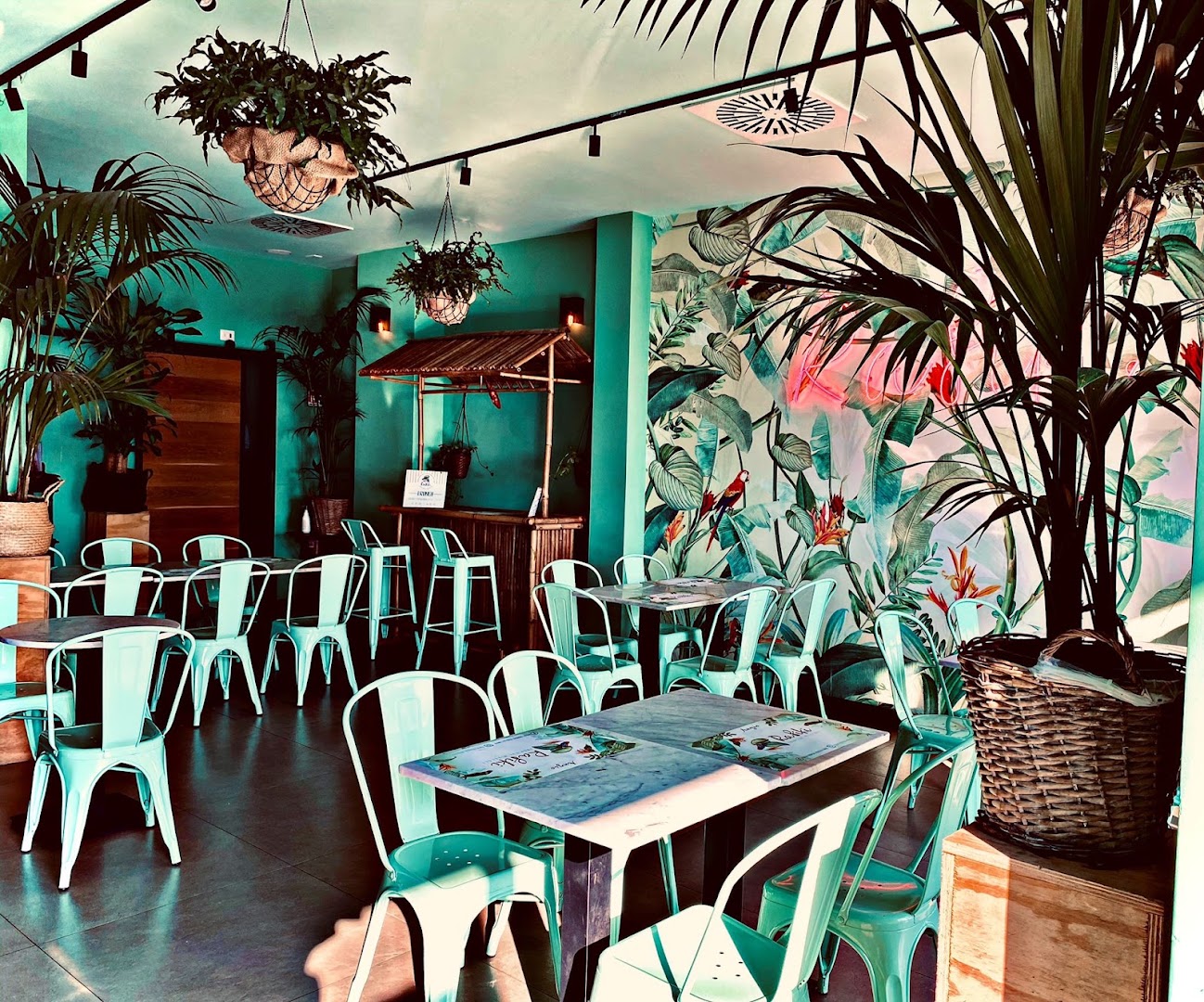 Rafiki Tropical Mixology Anzio