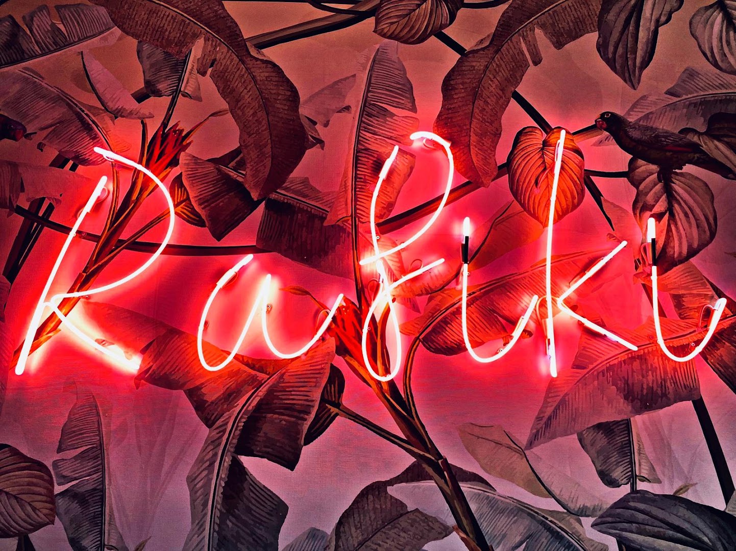 Rafiki Tropical Mixology Anzio