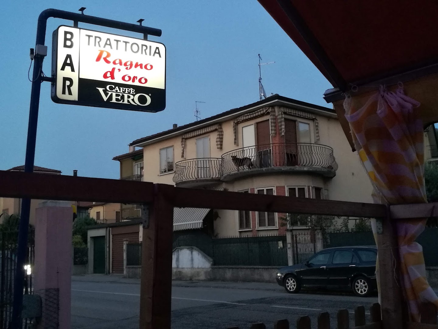 Ragno D'Oro