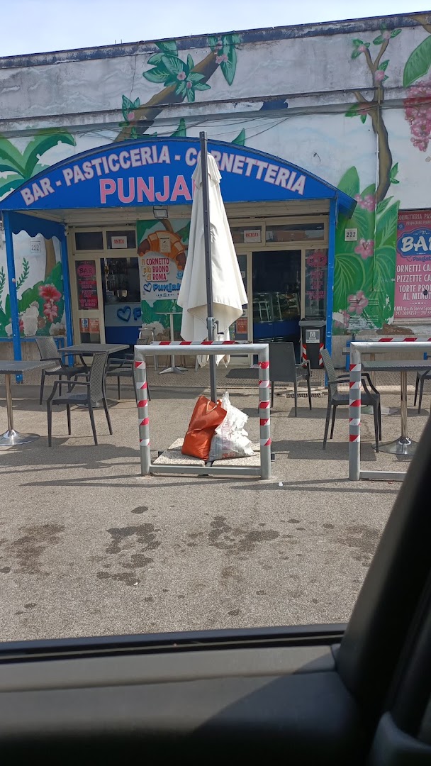 Raja Punjabi