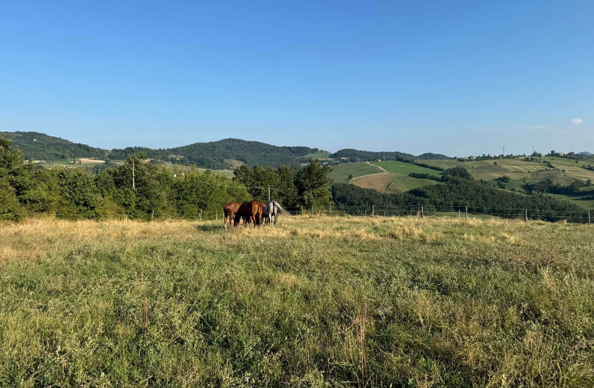 Ranch La Staffa Pavullo, Pavullo nel Frignano