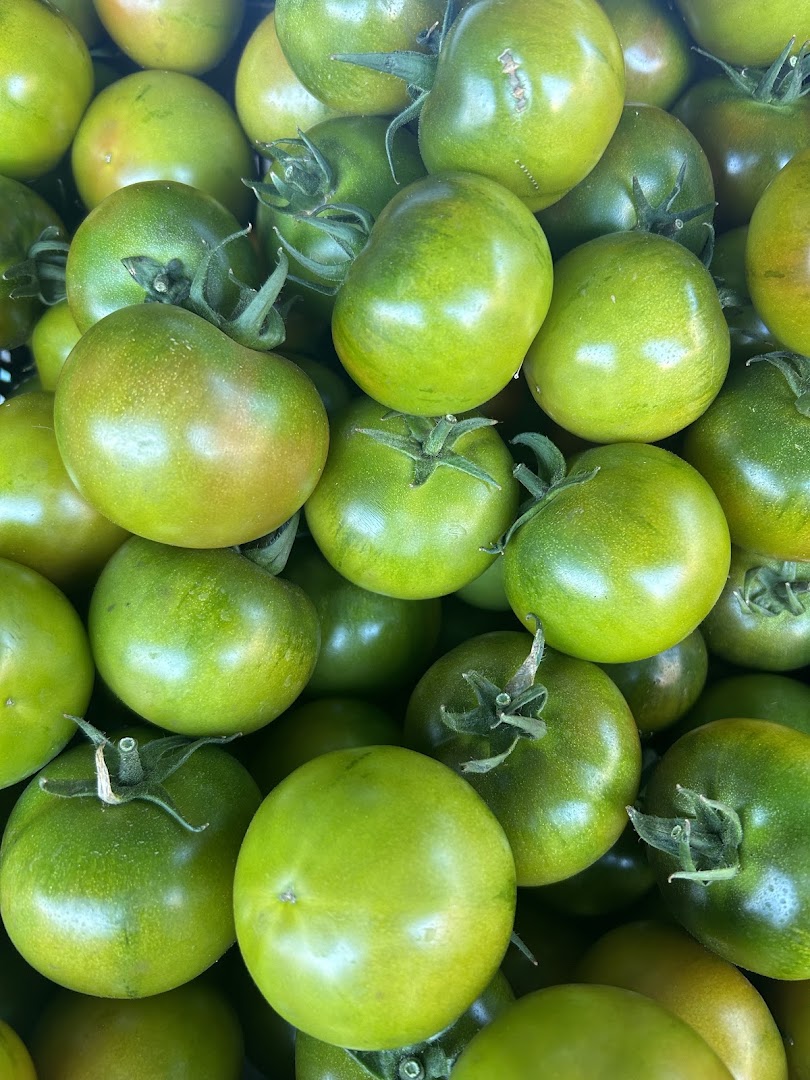 Randa food yacht service srl