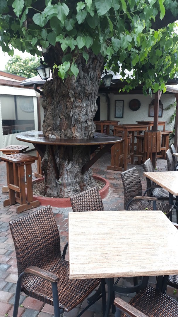 Red Baron Pub Trieste
