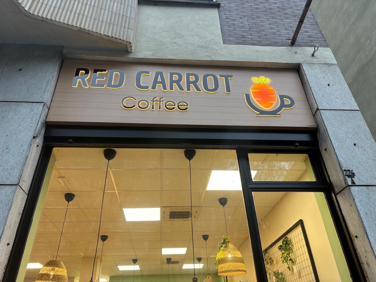 Red Carrot