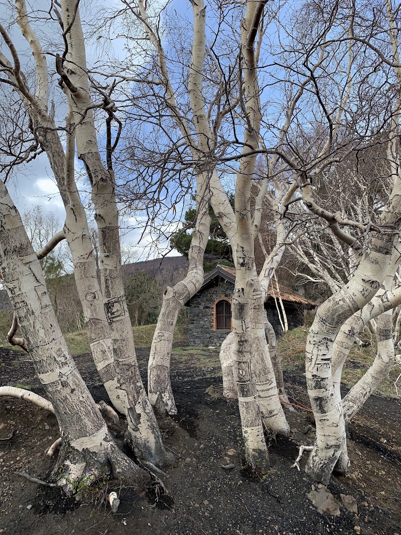 Red Etna Excursions