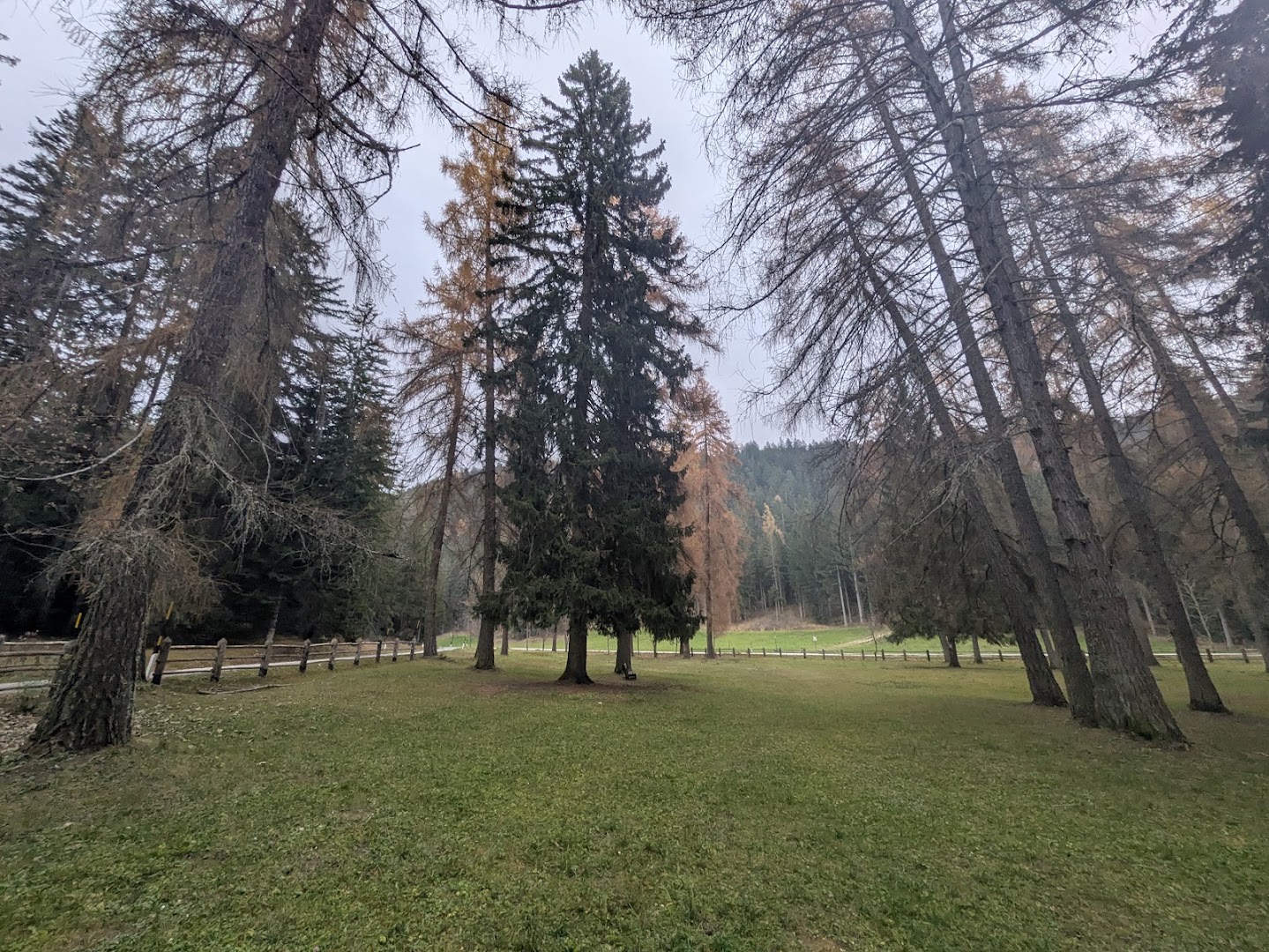 Regole di Malosco