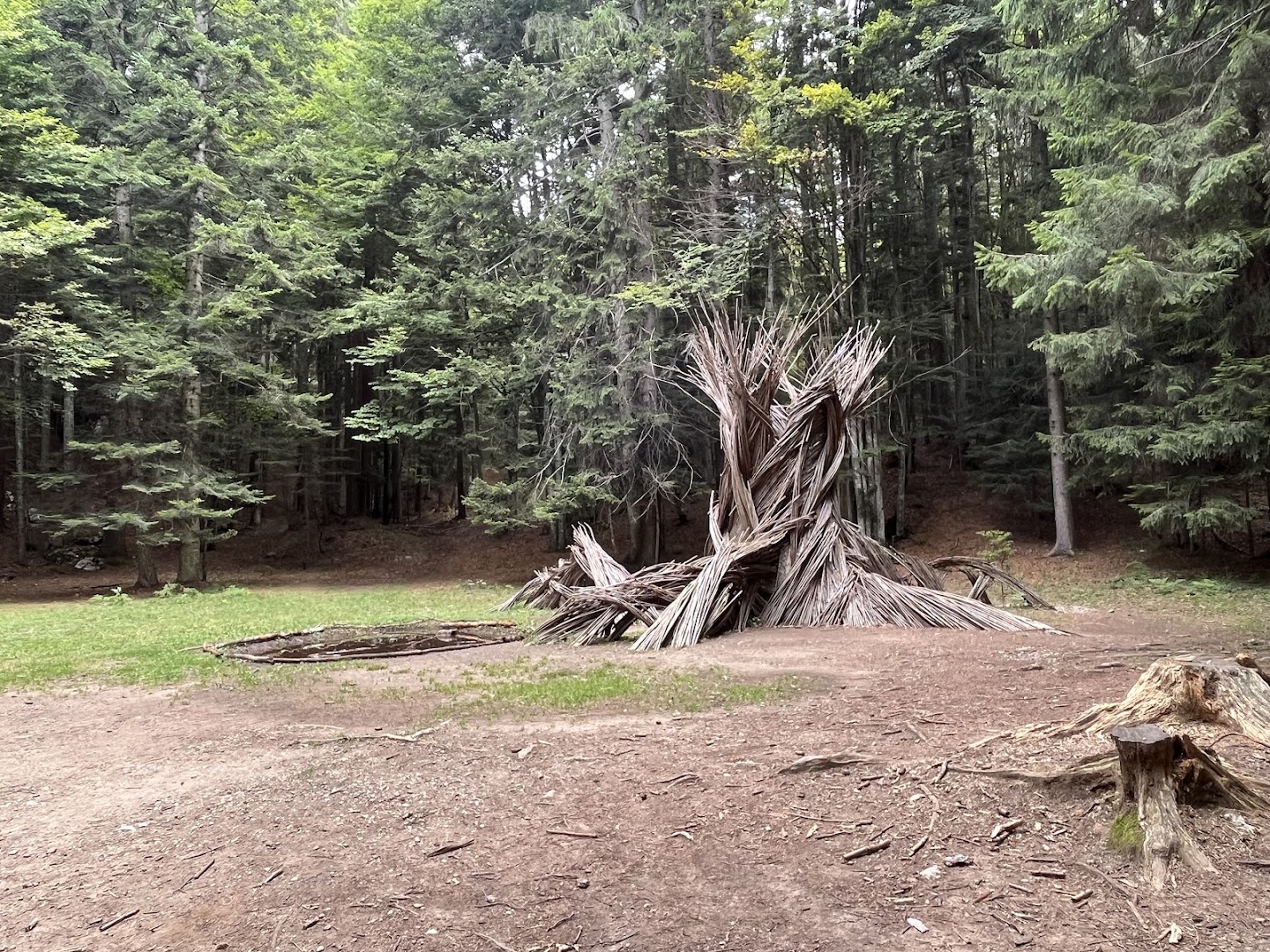 Respiro degli Alberi, Lavarone