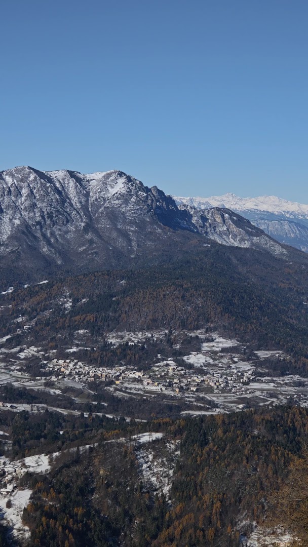 Respiro degli Alberi