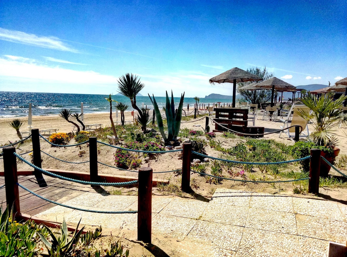 Riccio a Mare - Sperlonga