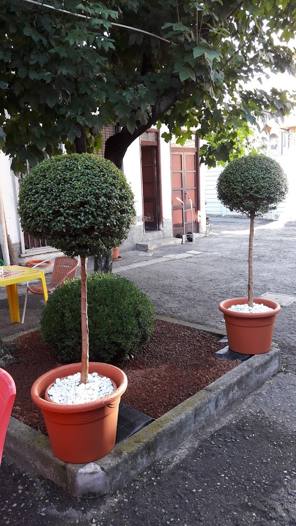 Rielli - Bar Esterino
