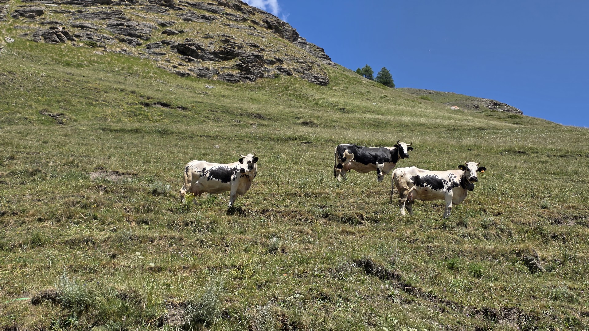 Rifugio Alpe Plane