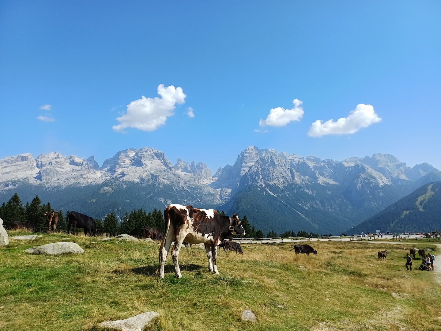 Rifugio Malga Ritorto