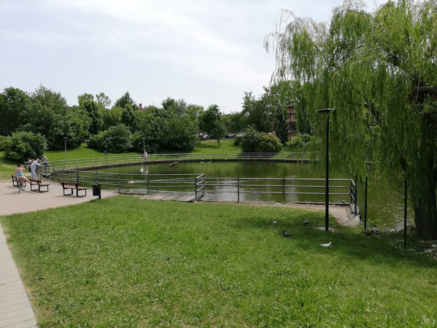 Rio dei Gamberi