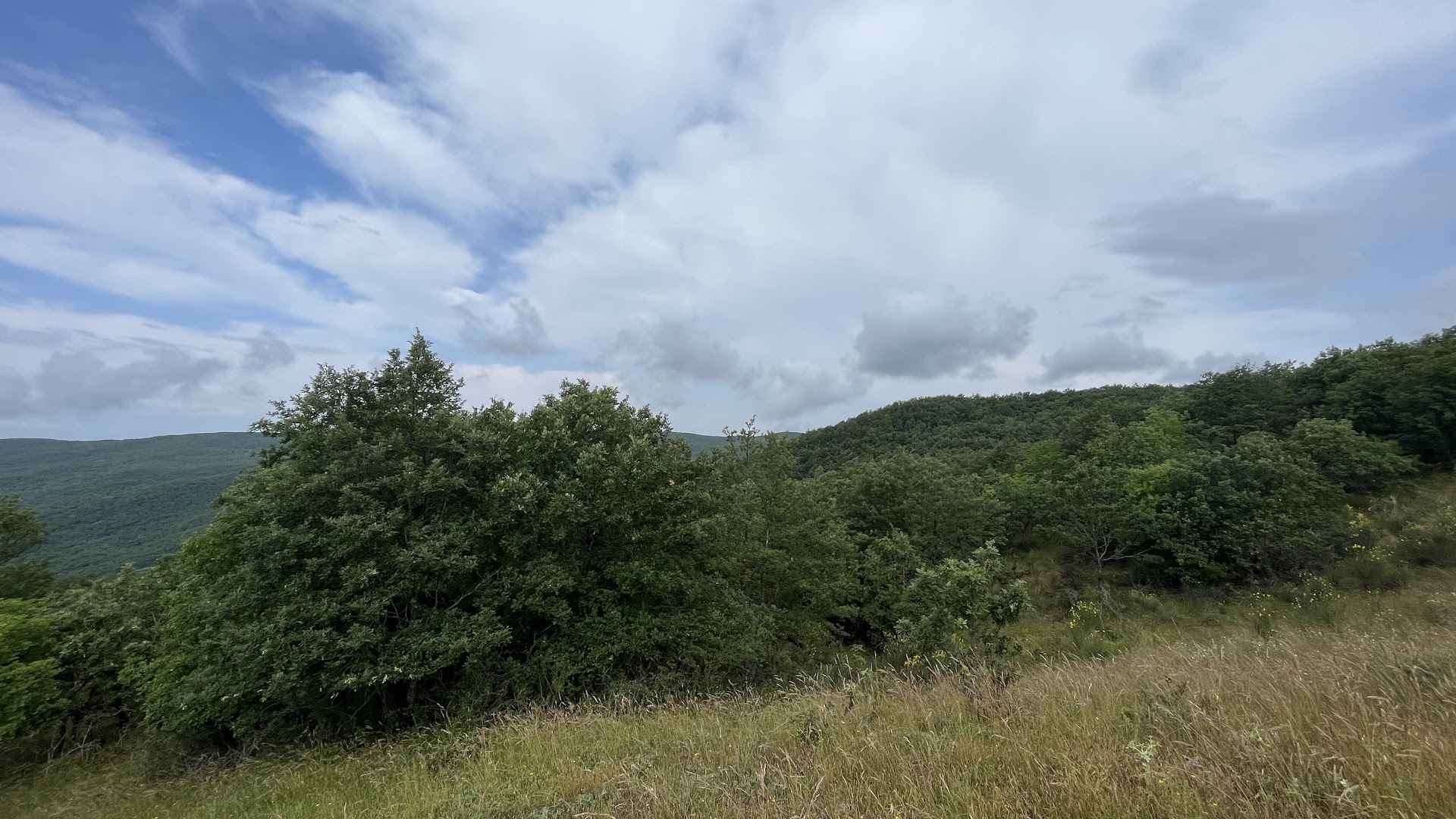 Riserva Naturale del Monte Rufeno