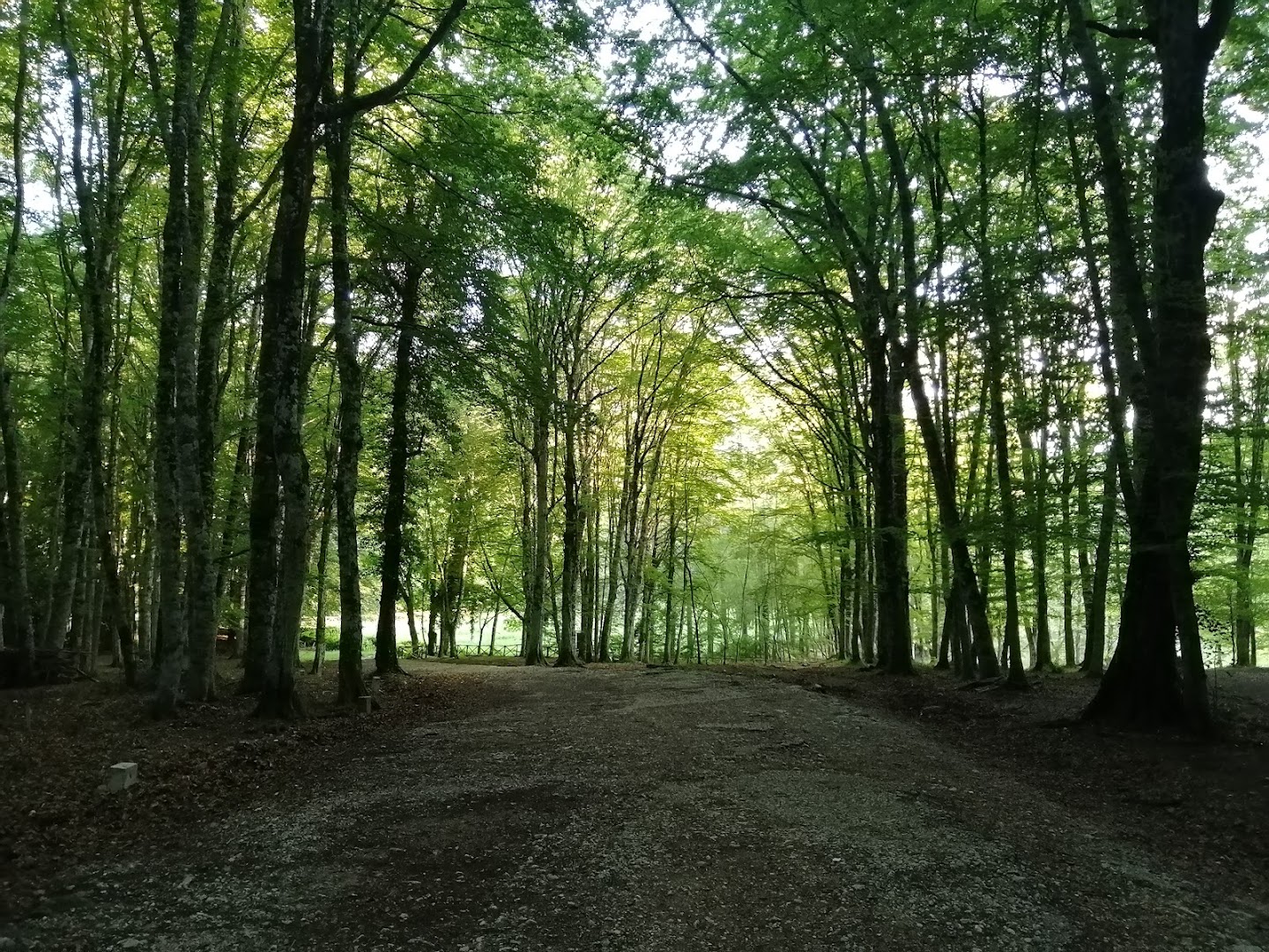 Riserva naturale della Foresta Umbra, Monte Sant'Angelo