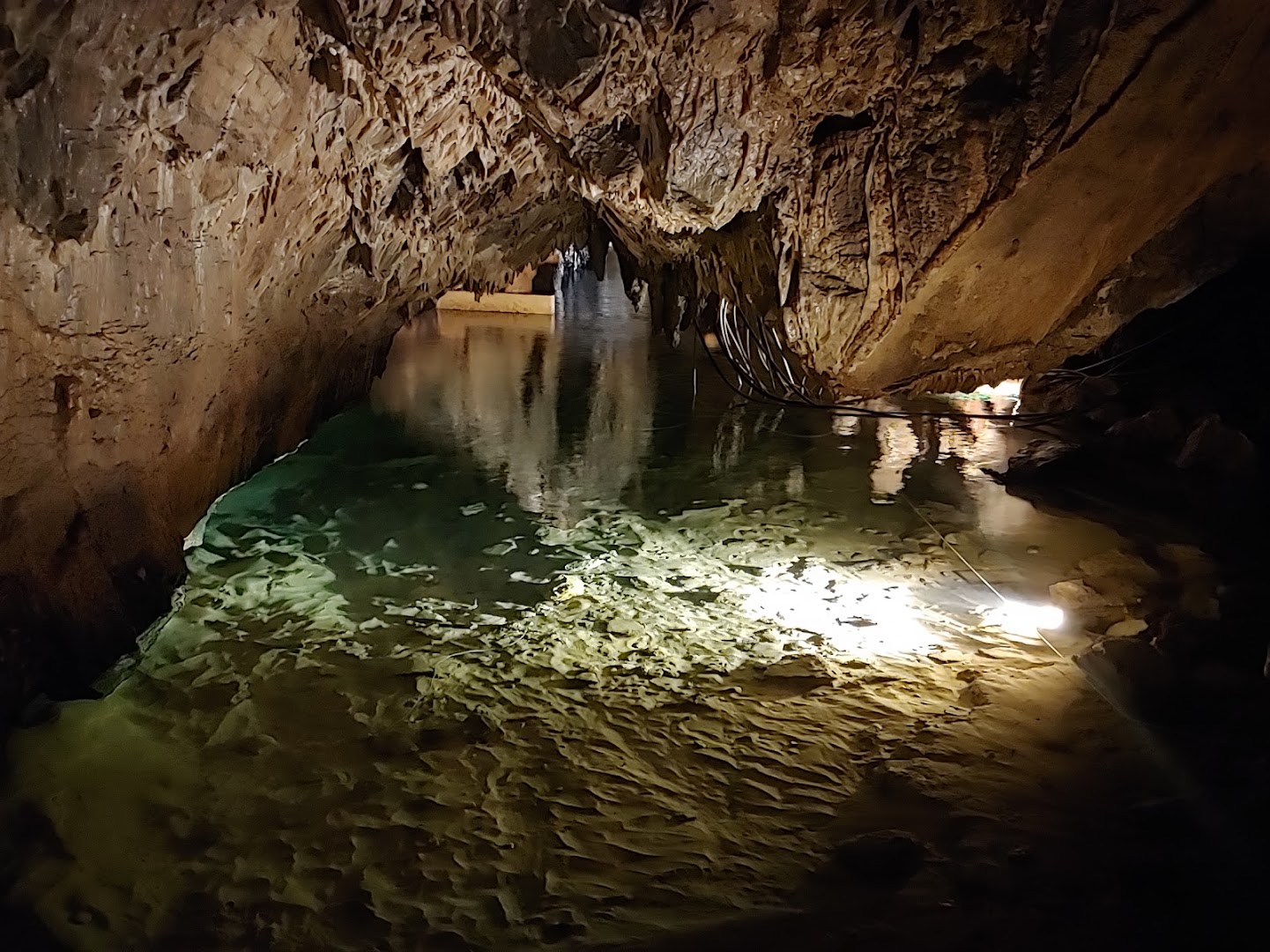 Riserva Naturale delle Grotte di Bossea - Grotte, bar e reception