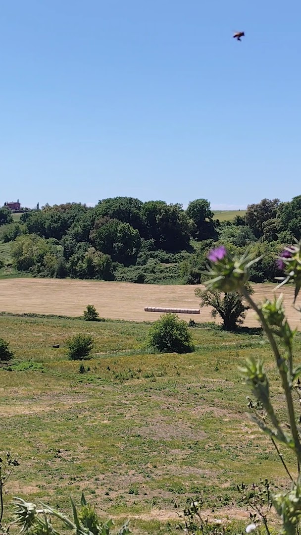 Riserva Naturale di Decima Malafede