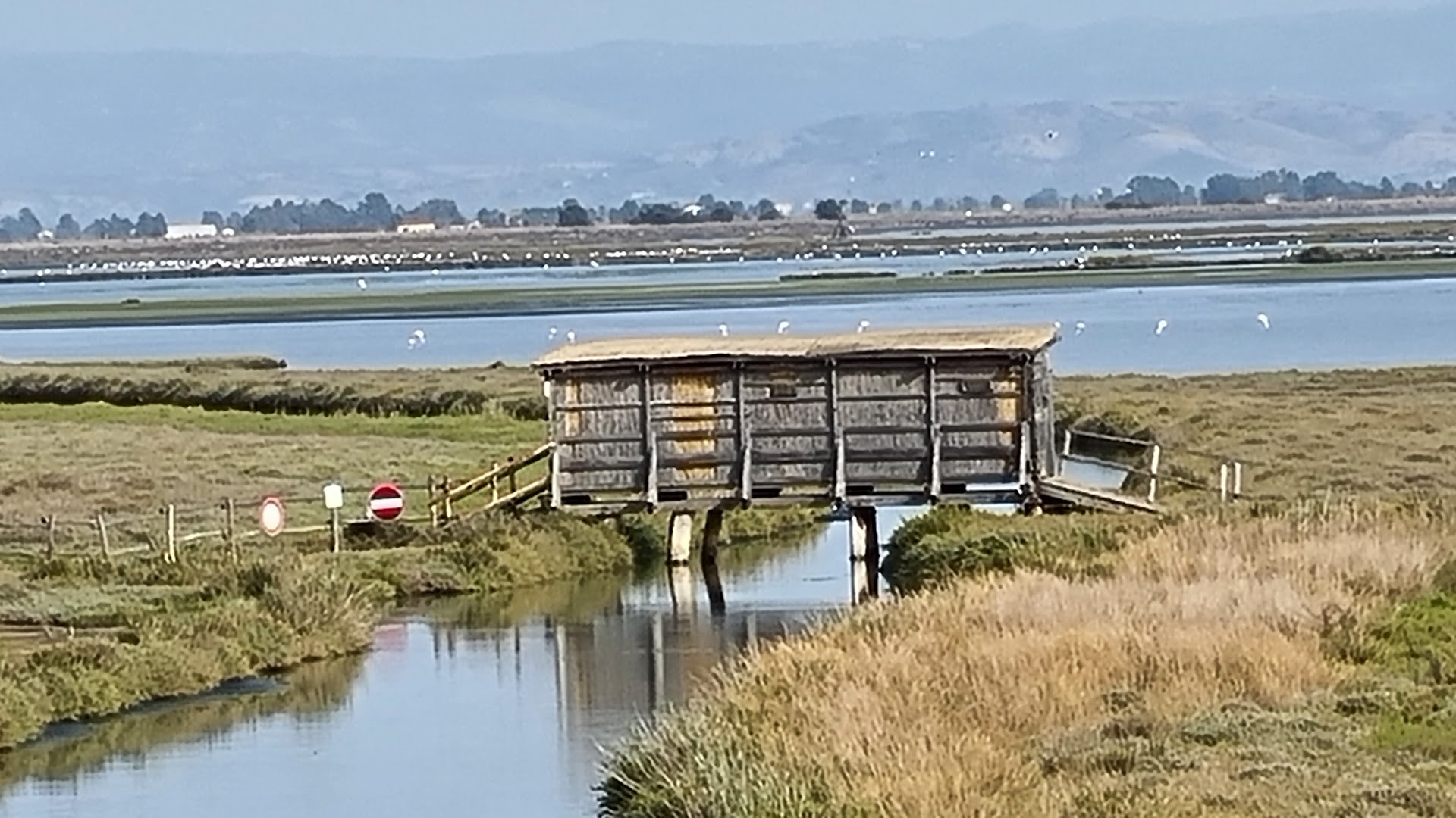 Riserva Naturale Diaccia Botrona