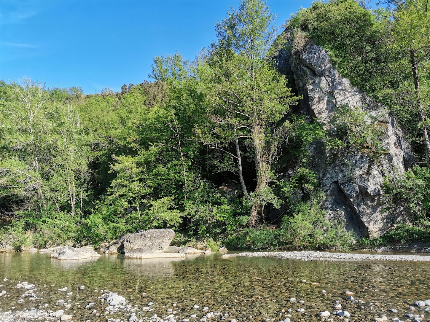 Riserva Naturale Foresta di Berignone, Volterra