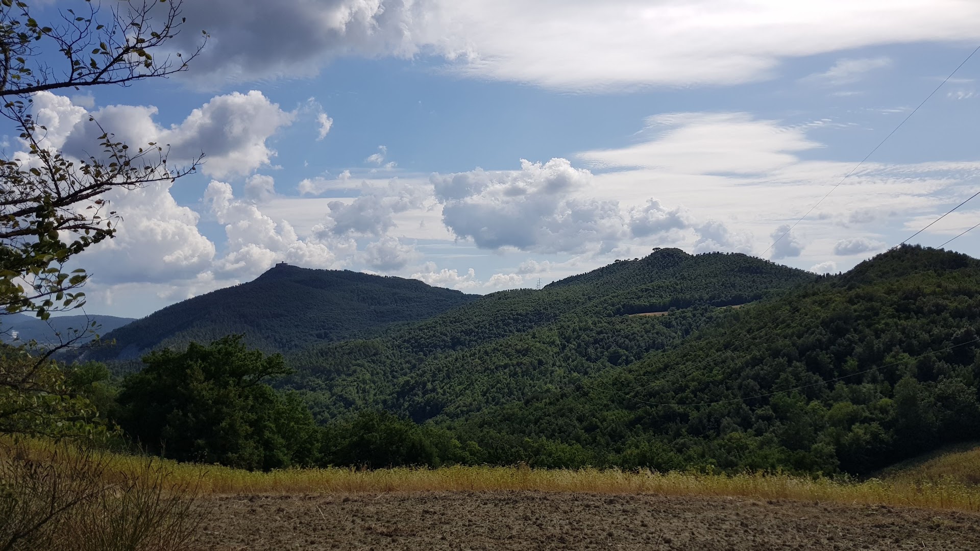 Riserva Naturale Foresta di Berignone