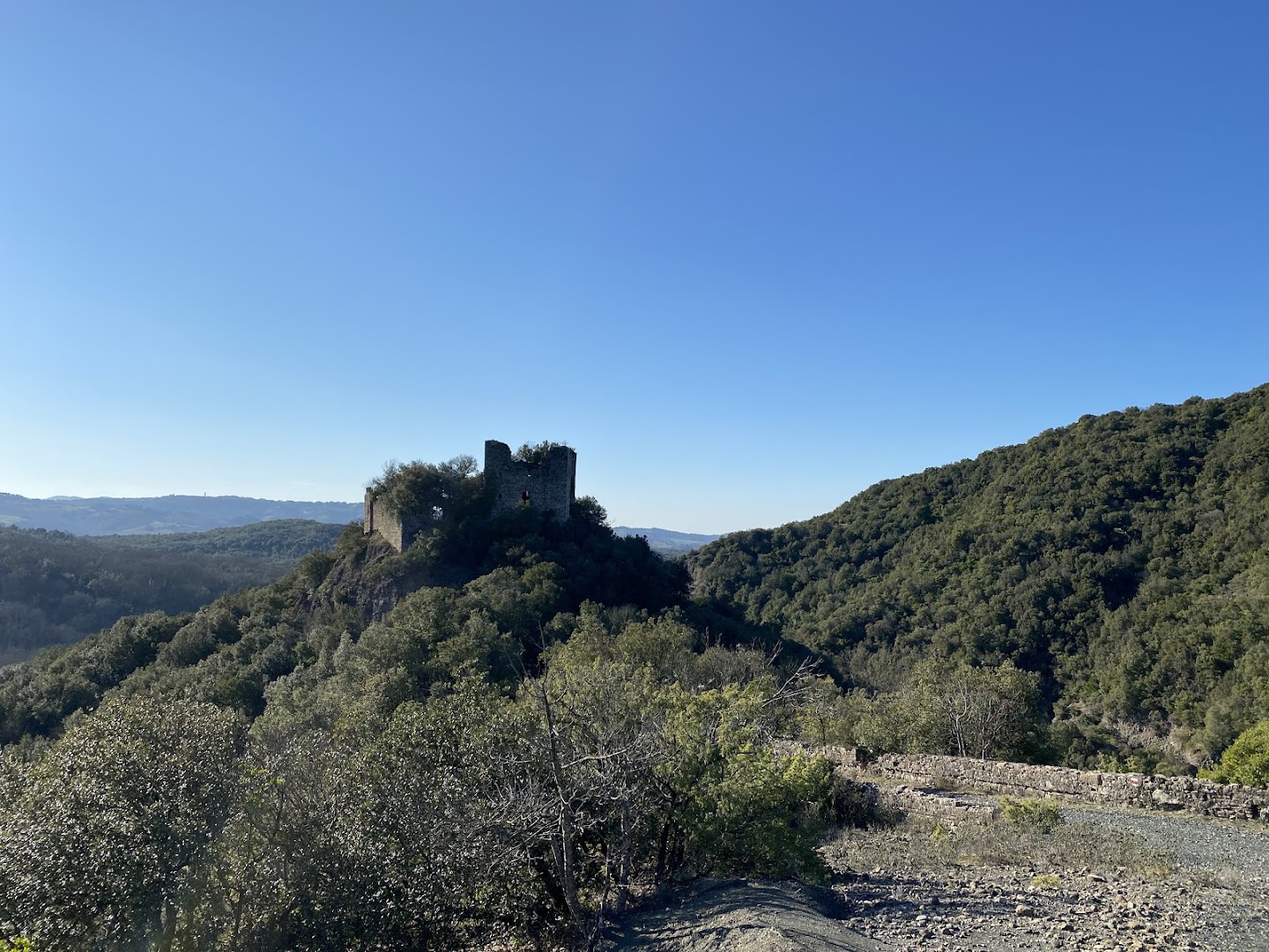 Riserva Naturale Foresta di Berignone
