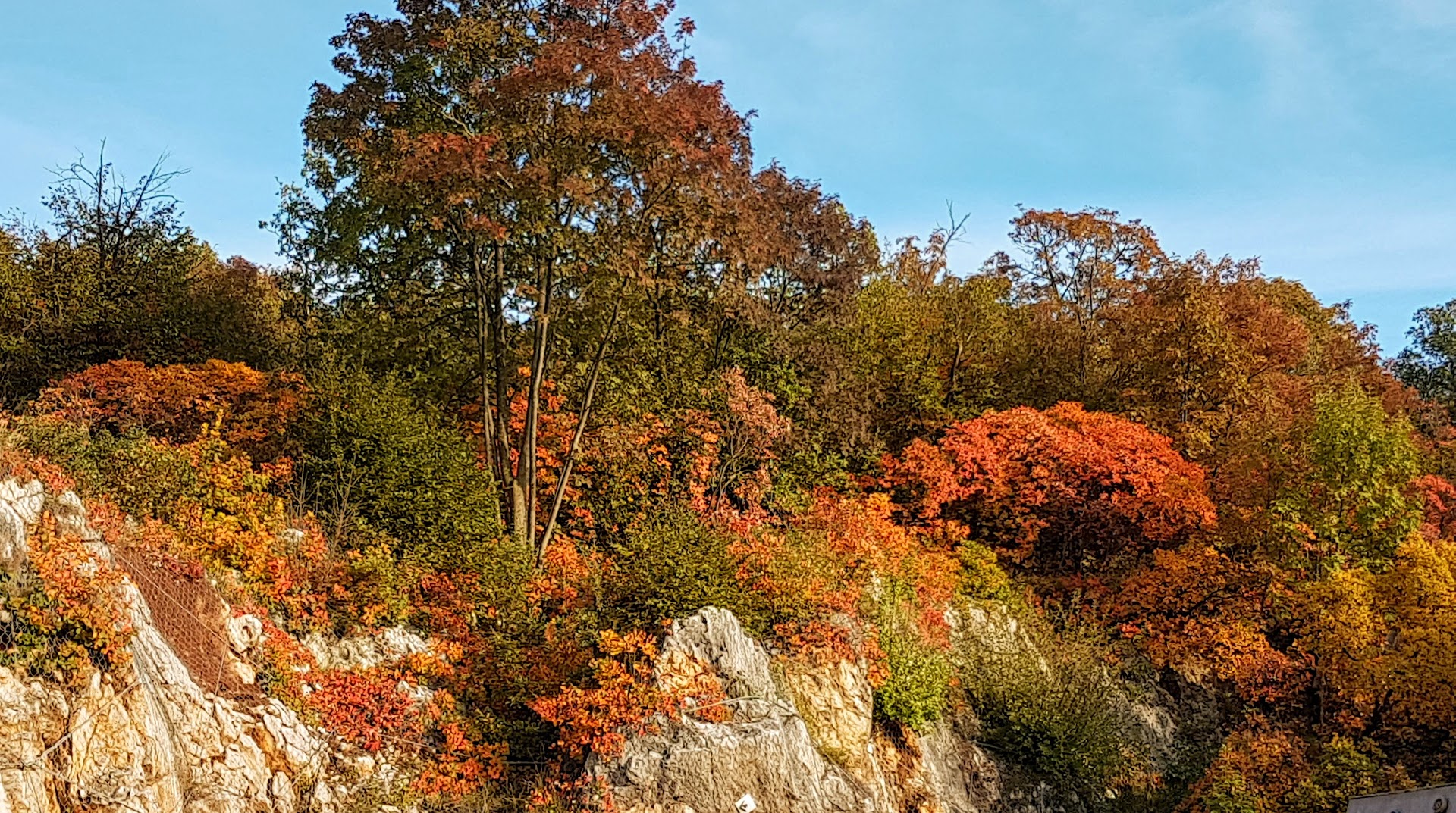 Riserva Naturale Laghi di Doberdò e Pietrarossa