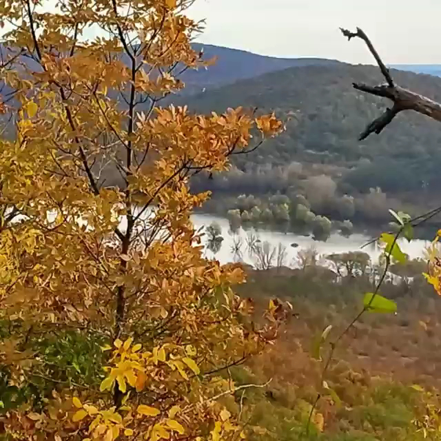 Riserva Naturale Laghi di Doberdò e Pietrarossa