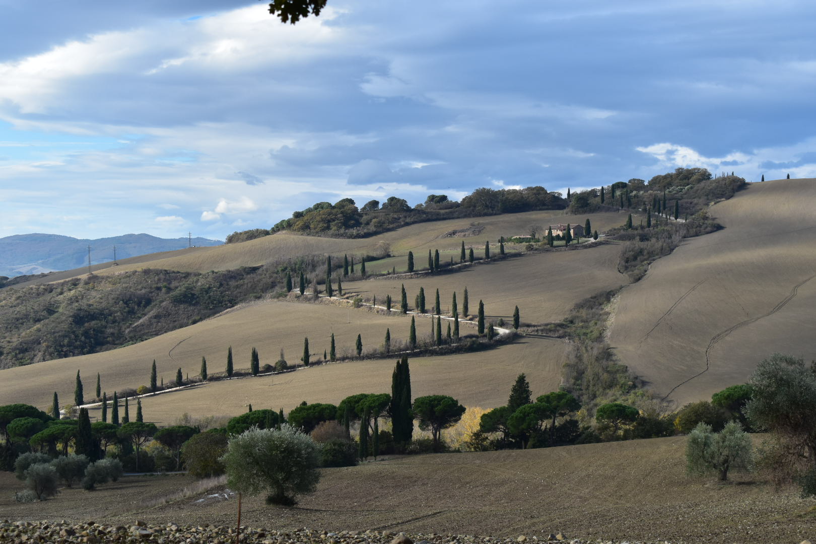 Riserva naturale Lucciola Bella, Pienza
