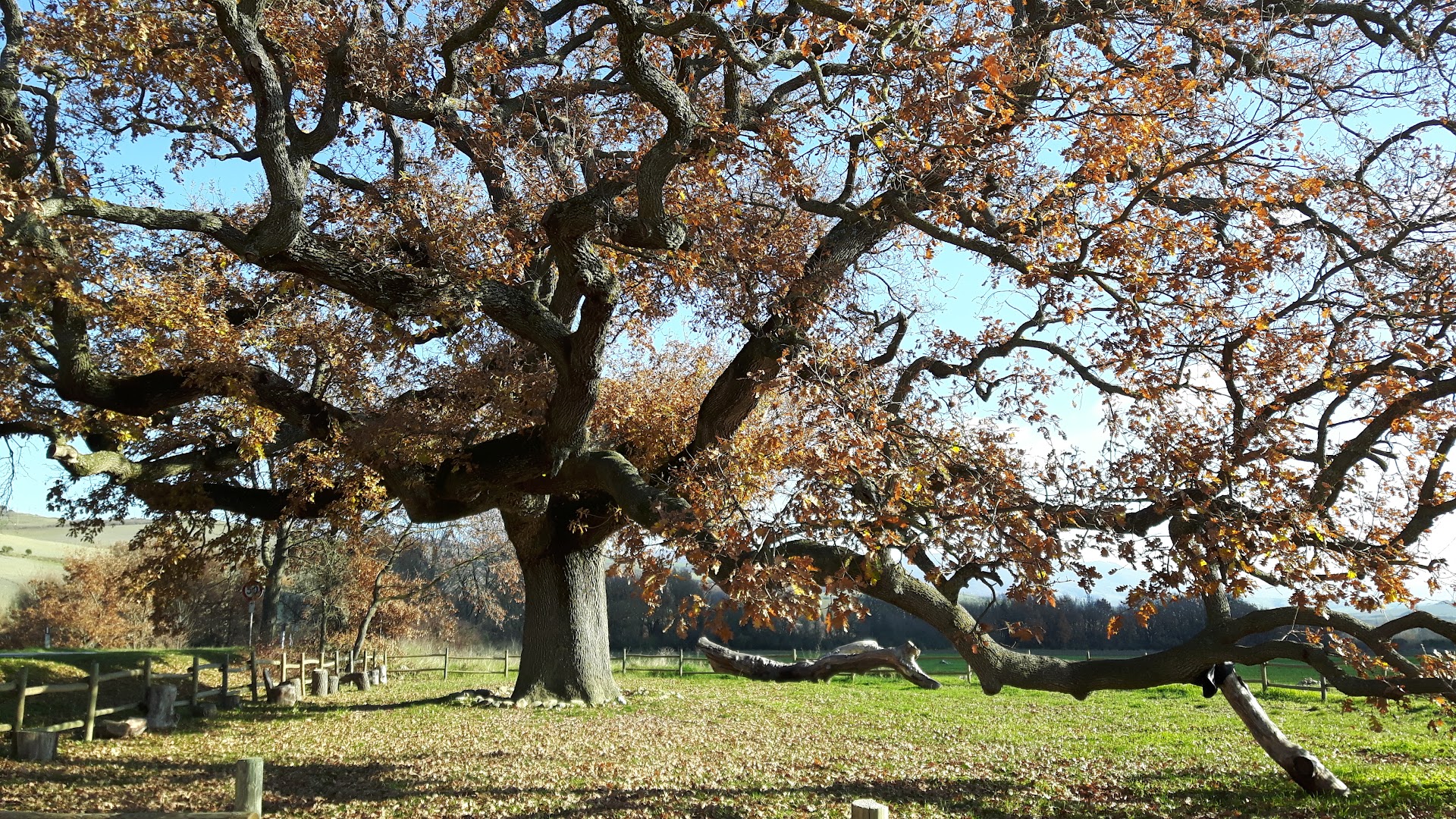 Riserva naturale Lucciola Bella