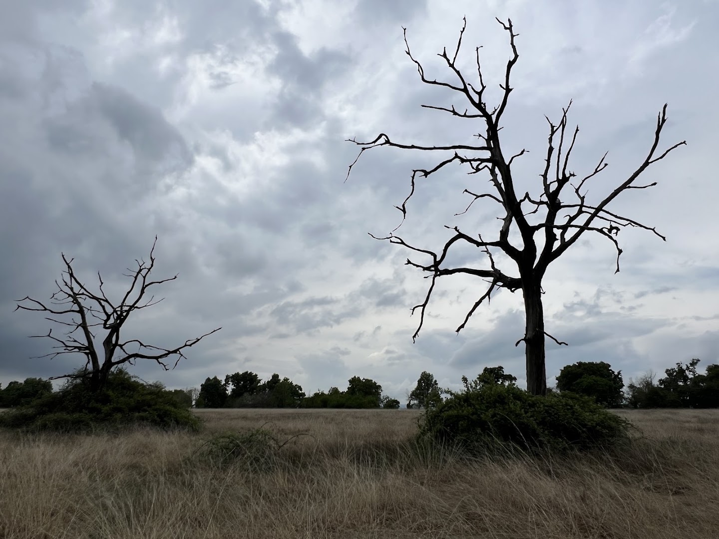 Riserva Naturale Orientale delle Baragge