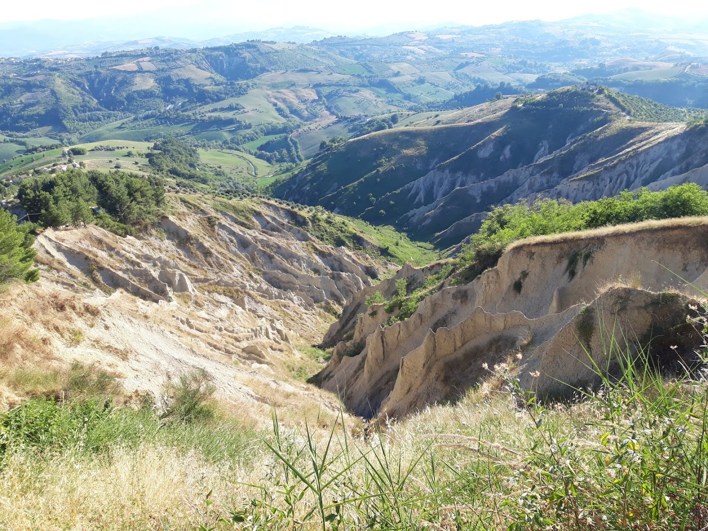 Riserva Naturale Regionale Calanchi di Atri