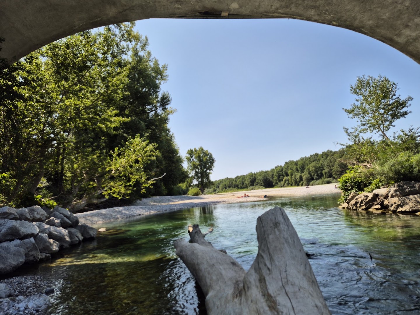 Riserva Naturale Regionale della Foce dell'Isonzo Isola della Cona