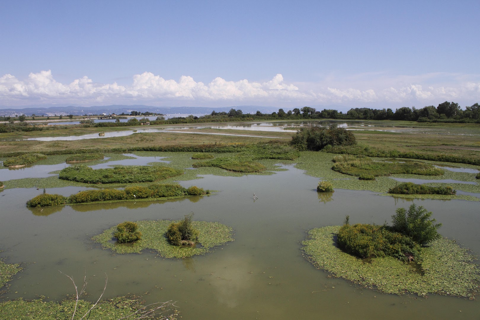 Riserva Naturale Regionale della Foce dell'Isonzo Isola della Cona