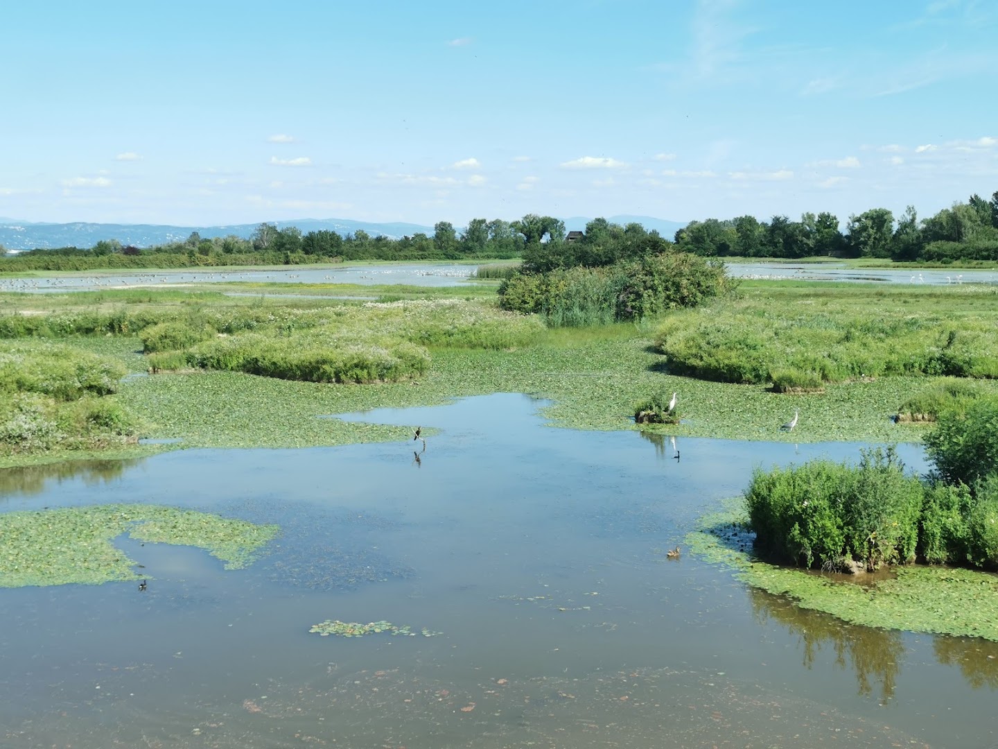 Riserva Naturale Regionale della Foce dell'Isonzo Isola della Cona