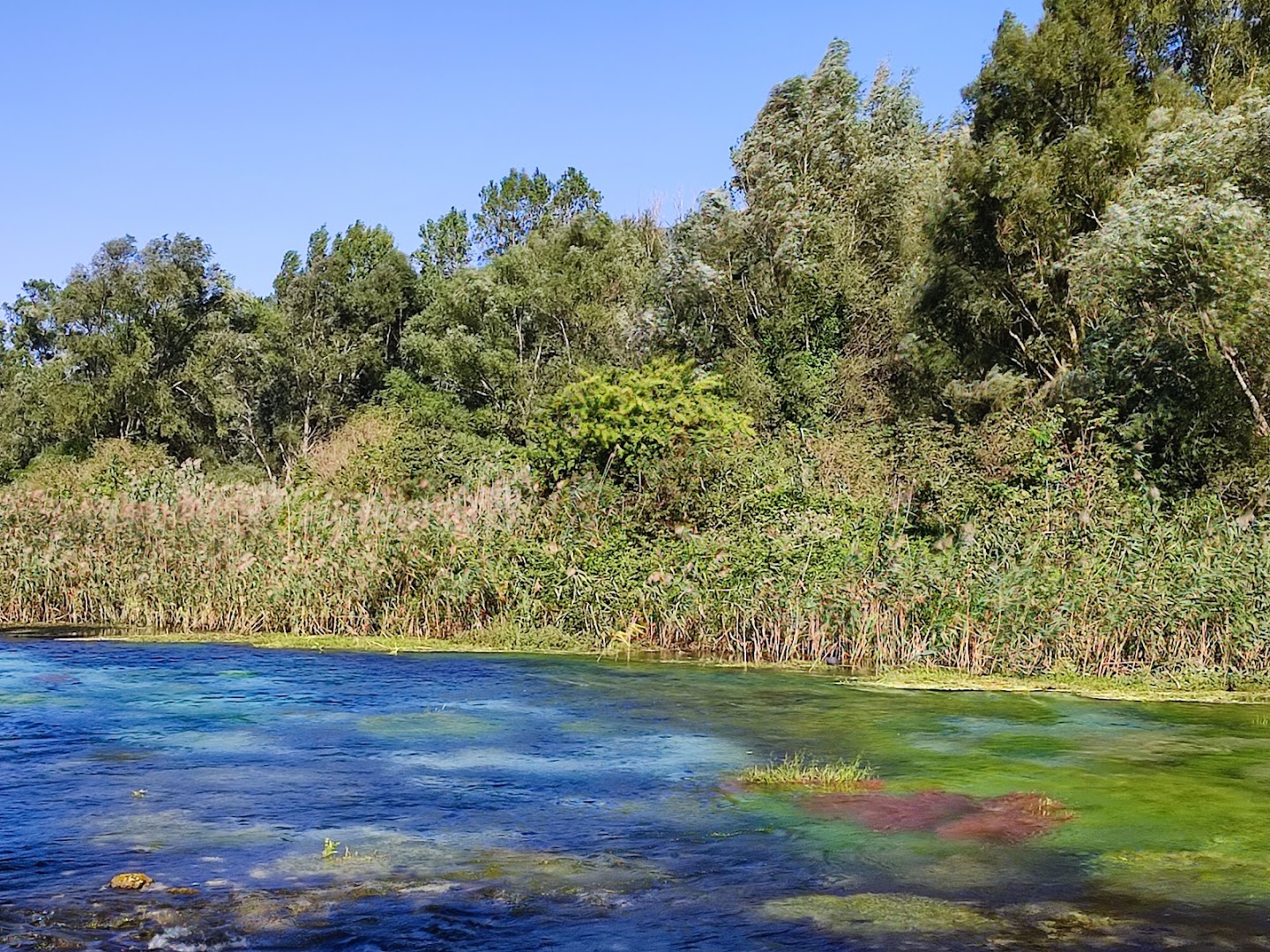 Riserva Naturale Regionale "Sorgenti del Pescara"