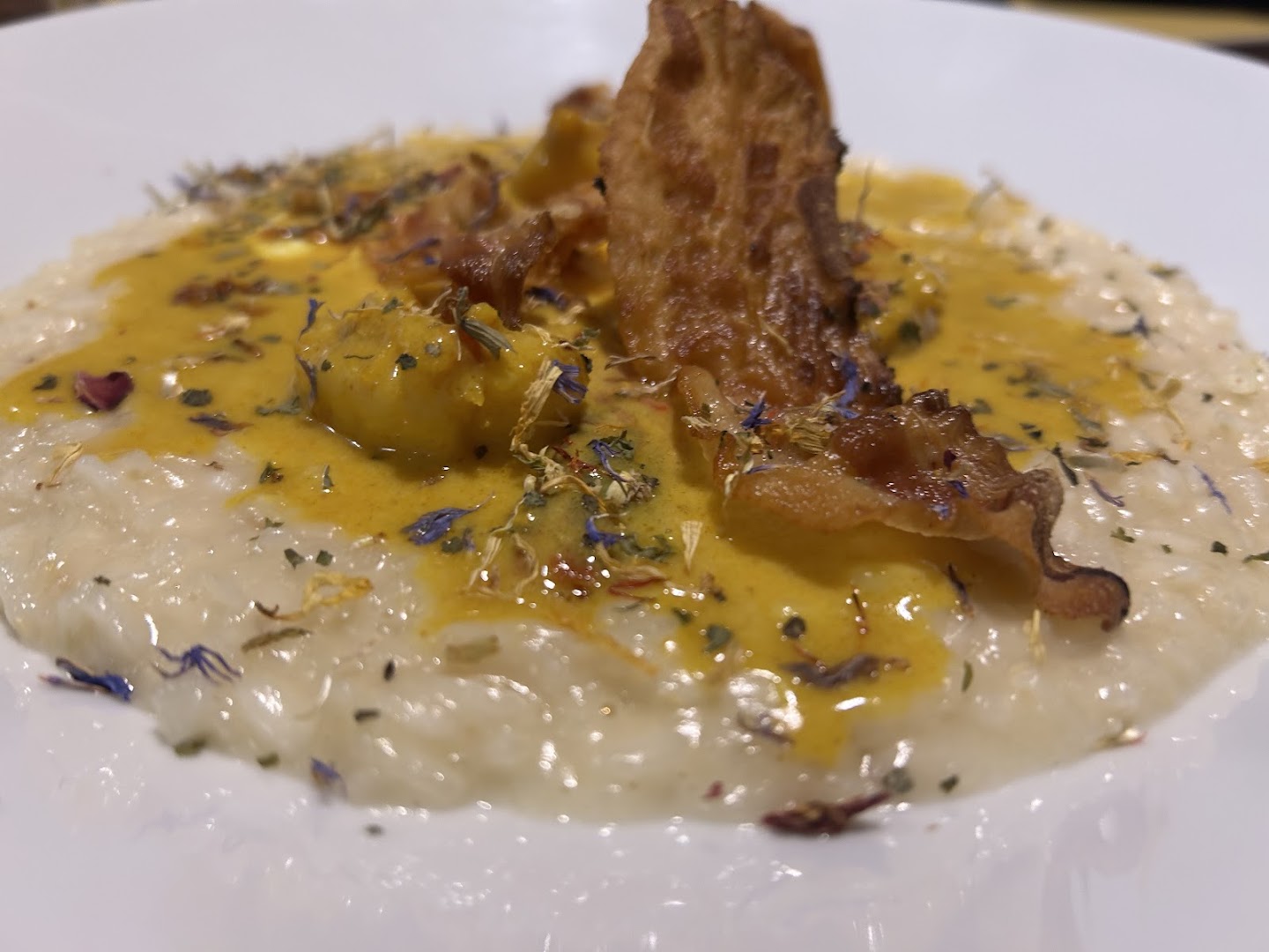 Risotto DAI C'ANDOM Modena